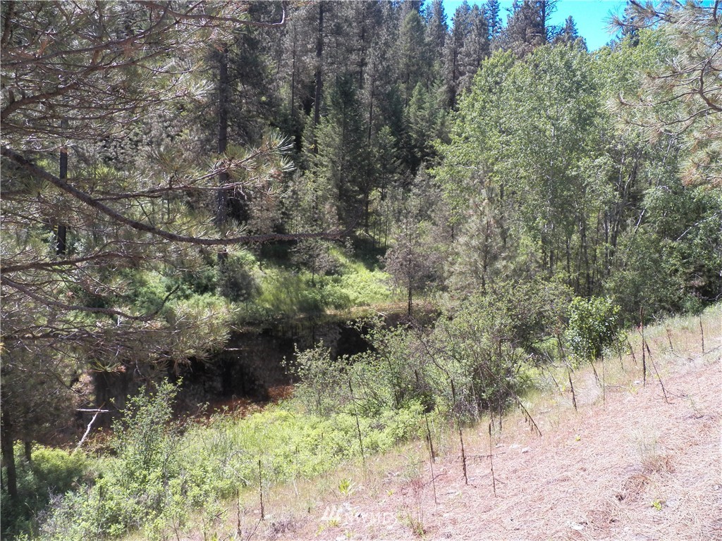 0 Karamin Acres Road Malo, WA 99150 - Photo 24 of 25 Gallery Image 24