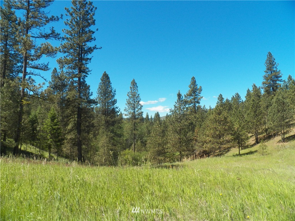 0 Karamin Acres Road Malo, WA 99150 - Photo 10 of 25 Gallery Image 10