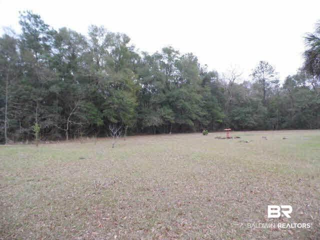 12360 Deer Ridge Drive Wilmer, AL 36587 - Photo 21 of 23 ANOTHER VIEW OF PROPERTY