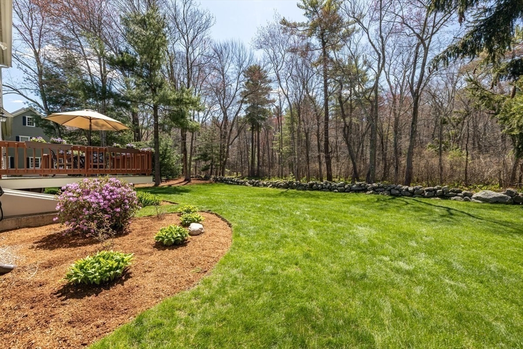 7 Tanglewood Road Walpole, MA 02032 - Photo 37 of 40