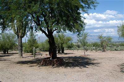 2634 North Grannen Road Tucson, AZ 85745 - Photo 5 of 10 Gallery Image 5