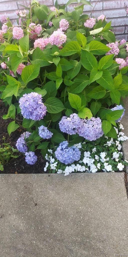 79 Manor Way Rochester, MI 48309 - Photo 10 of 12 output_image1654278849146.jpg