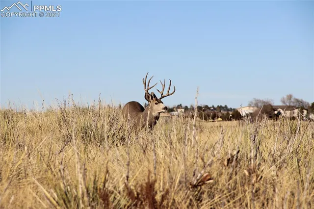 a view of beach and ocean