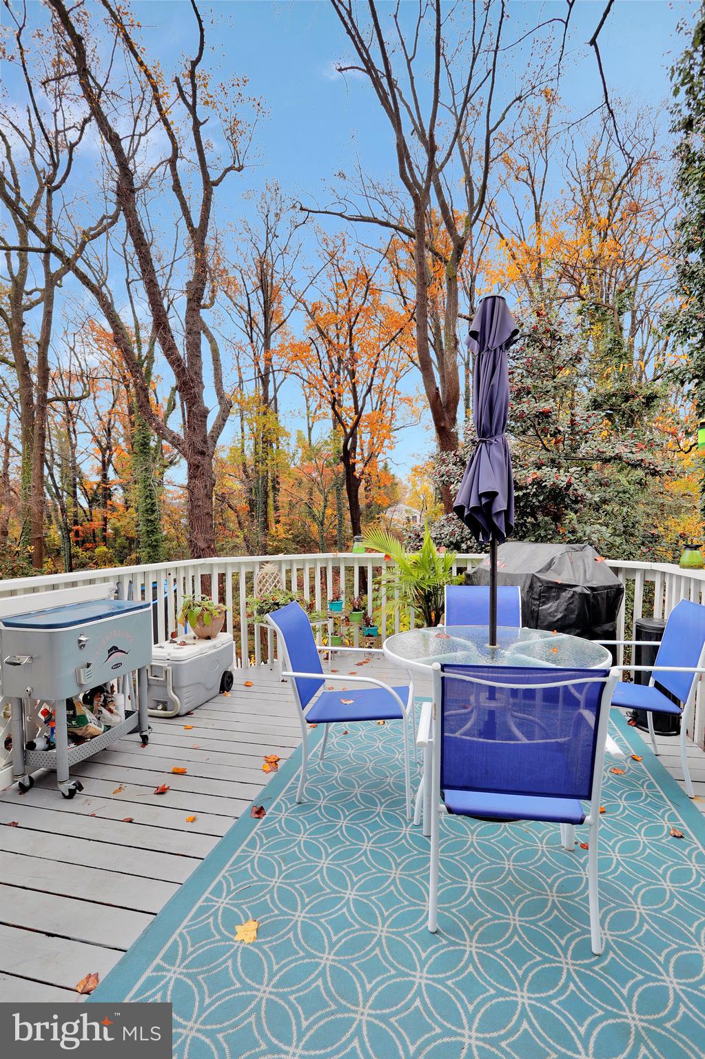 433 Broadwater Road Arnold, MD 21012 - Photo 44 of 46 Deck