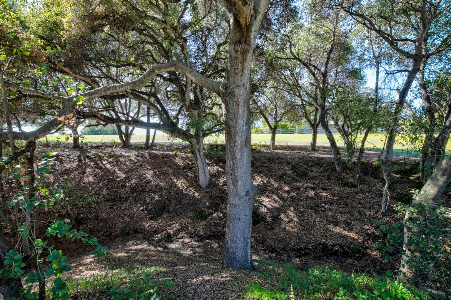 782 Old Stage Road Salinas, CA 93908 - Photo 44 of 55 Gallery Image 44