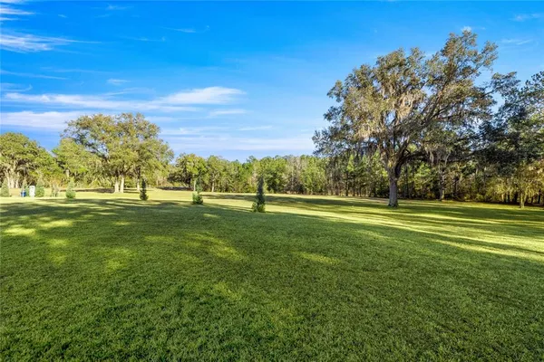 a view of grassy field with trees
