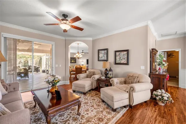 a living room with furniture ceiling fan and a rug
