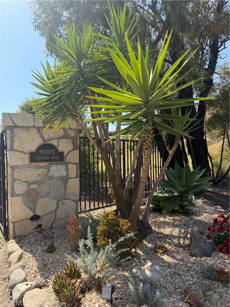 6000 Cavalleri Road Malibu, CA 90265 - Photo 14 of 44 a view of a tree in front of a house