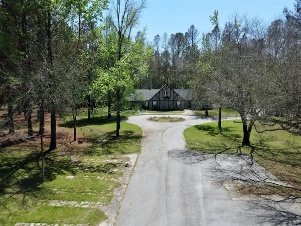 a view of a park with large trees