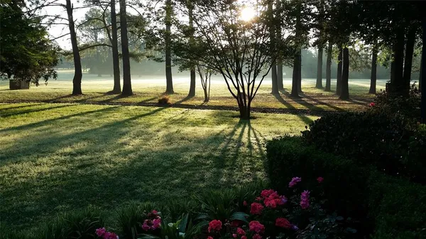 a backyard of a house with lots of green space