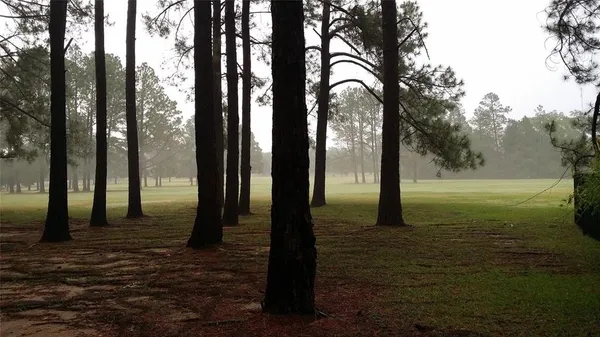 a view of a garden with flowers and plants