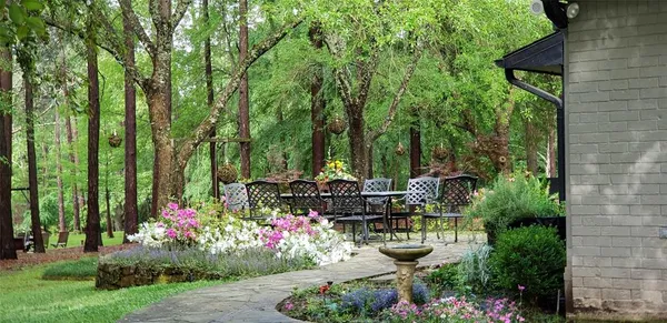 a view of a park with palm trees