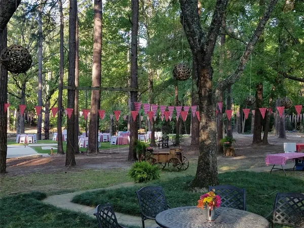 a view of a backyard with large trees