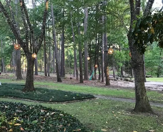 a view of statue in a green field
