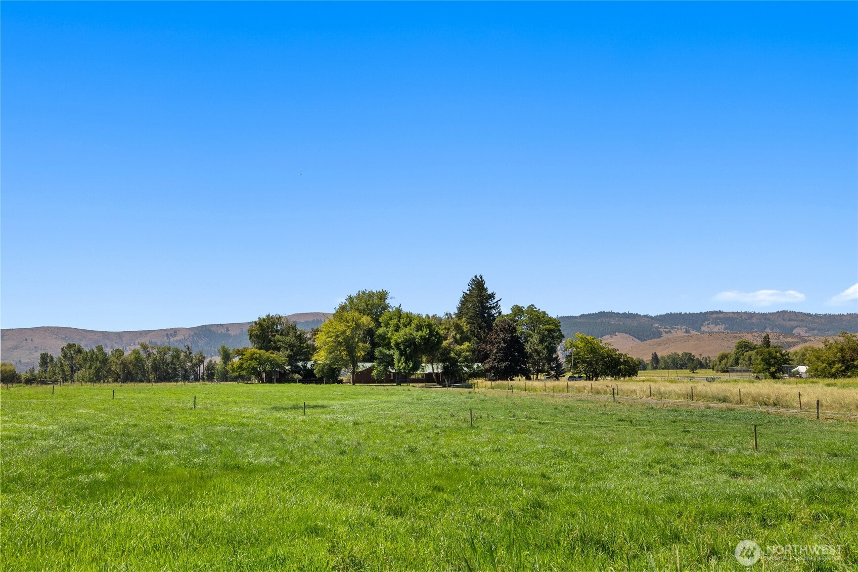 4530 Weaver Road Ellensburg, WA 98926 - Photo 34 of 39 a view of green field with mountains in the background