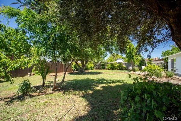 a view of a yard with plants and trees