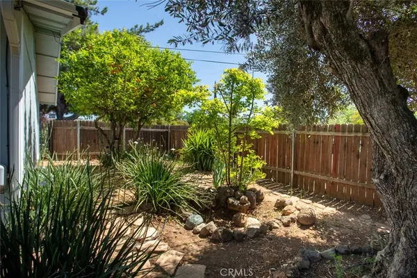 a view of a garden with plants