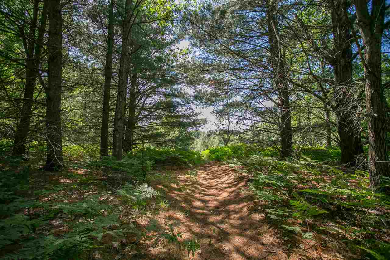 1063 Tranquil Point Road Traverse City, MI 49696 - Photo 7 of 30 1811067-6.JPG