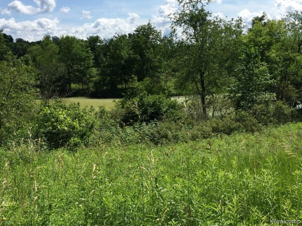 Parcel B Parker Road Holly, MI 48442 - Photo 8 of 18