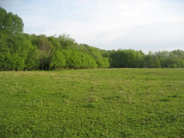 1 Myers Road Carlisle, KY 40311 - Photo 5 of 32 Photo 5