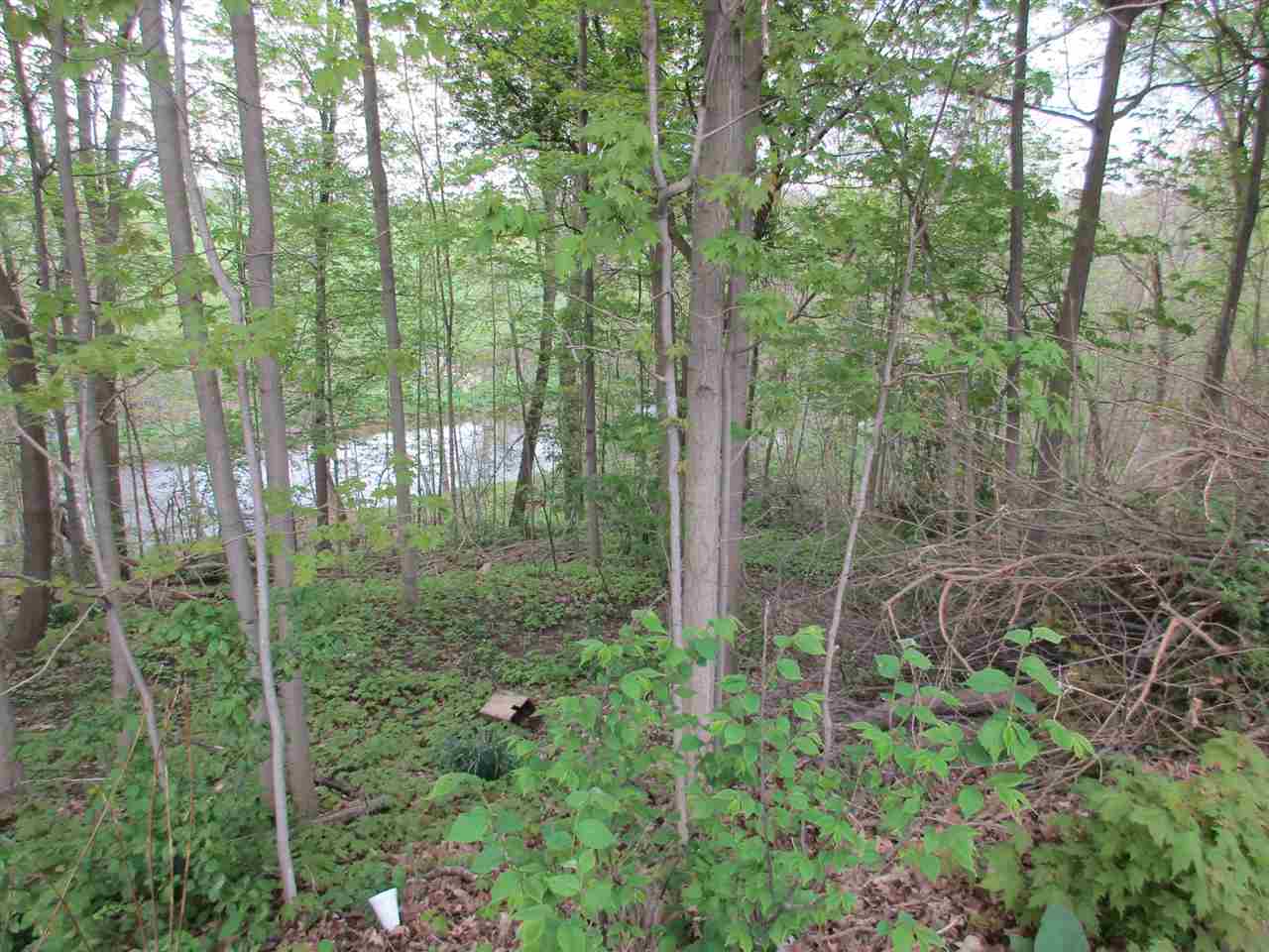 0 Mill & Newburg Road Durand, MI 48429 - Photo 5 of 11 31317915-4.JPG