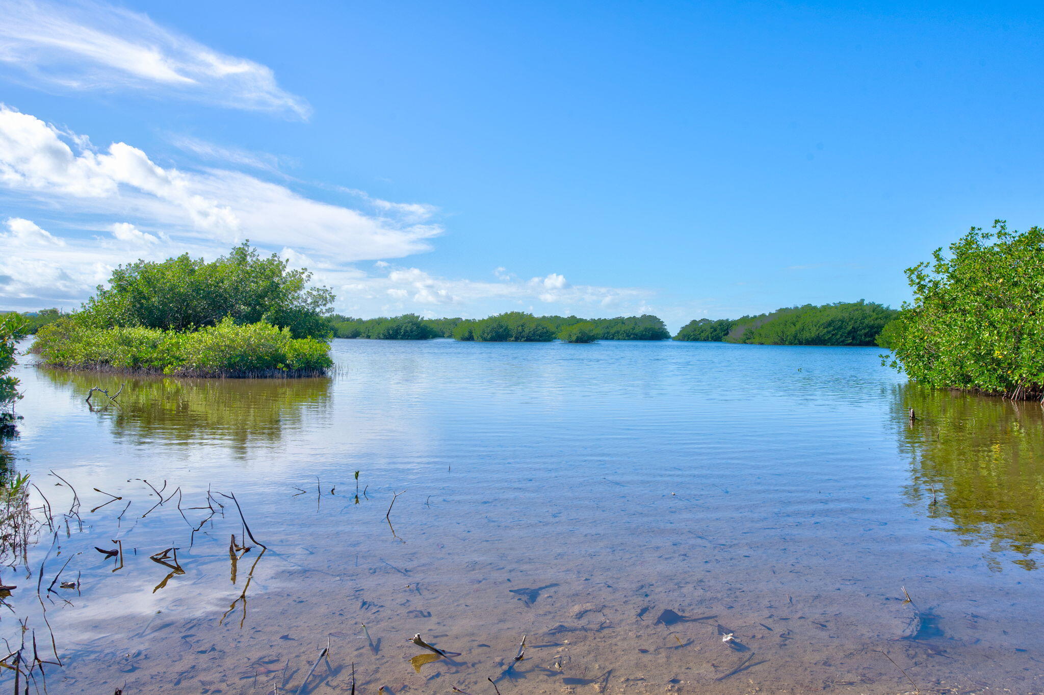 181 Grassy Road Key Largo, FL 33037 - Photo 33 of 35 34-web-or-mls-181 Grassy Rd - High Expos