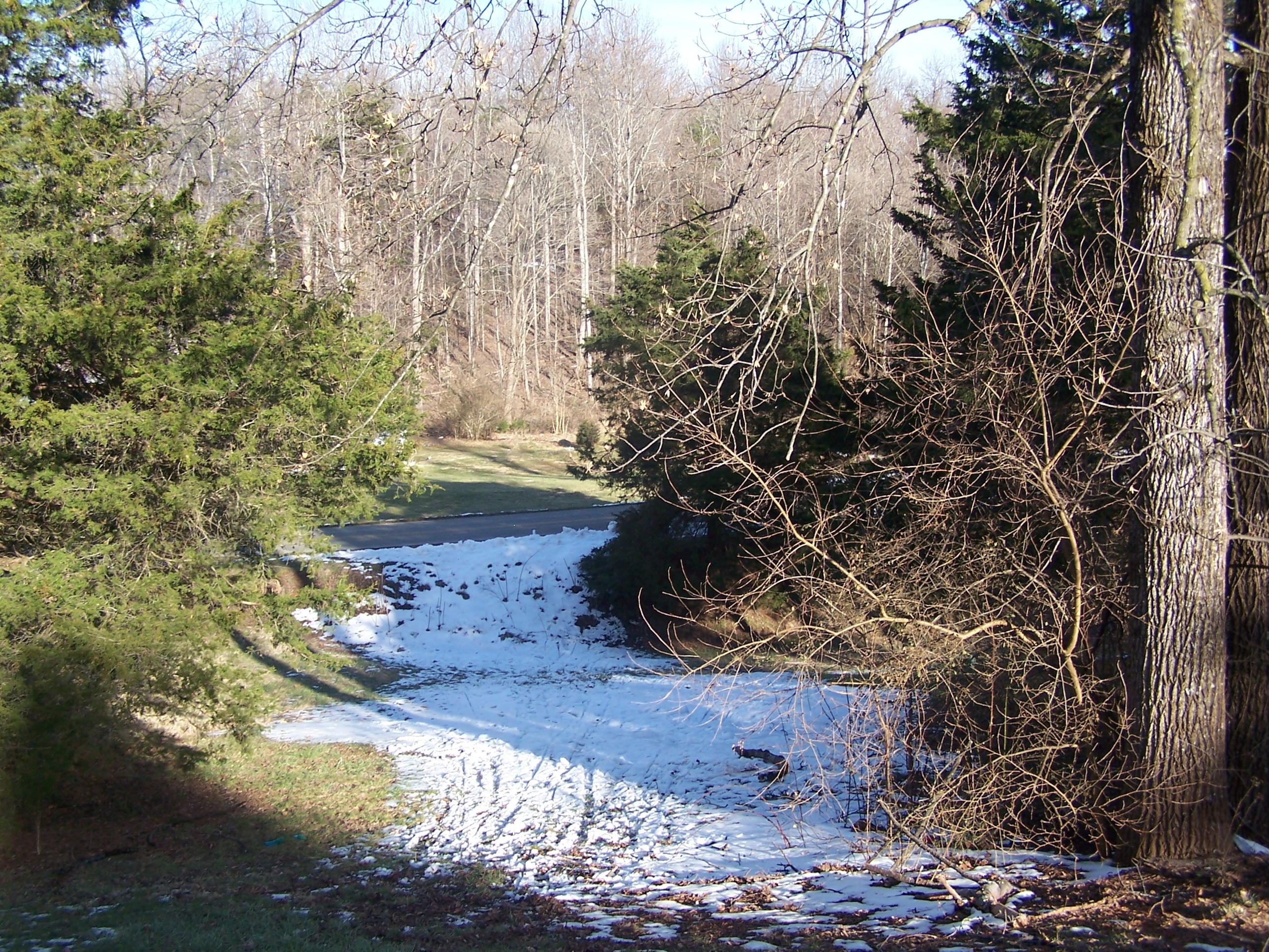 250 Muse Field Road Rocky Mount, VA 24151 - Photo 2 of 23 a view of a tree with a yard