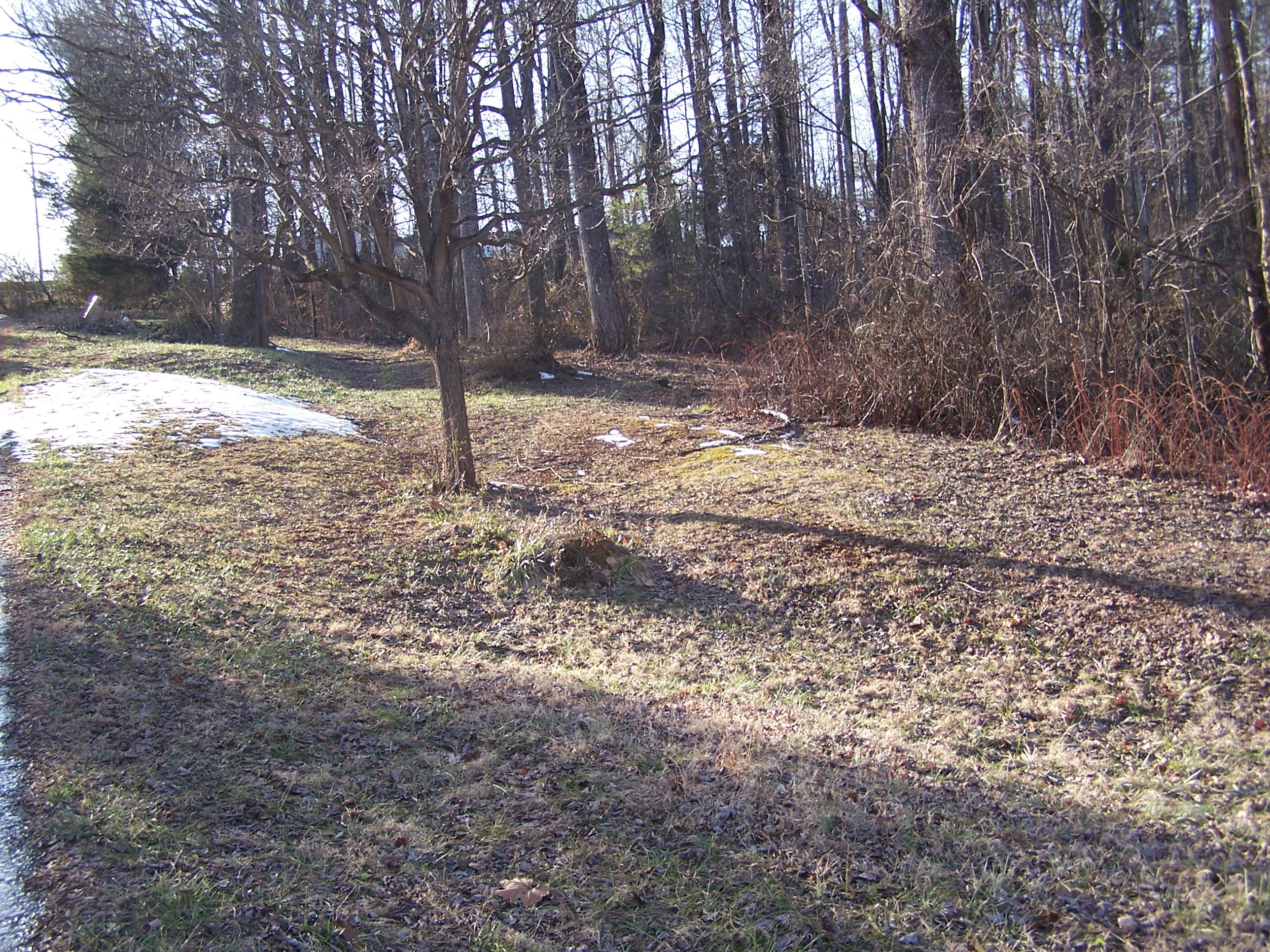 250 Muse Field Road Rocky Mount, VA 24151 - Photo 15 of 23 a view of a yard with trees