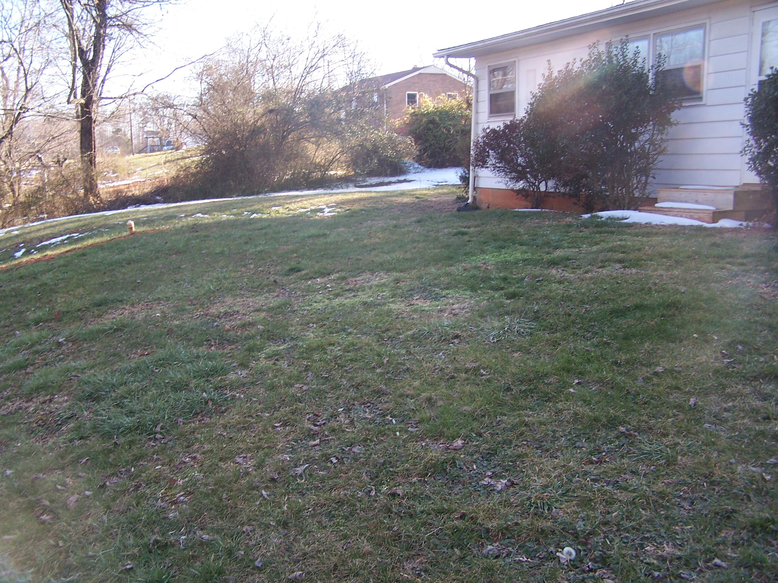250 Muse Field Road Rocky Mount, VA 24151 - Photo 3 of 23 a view of a outdoor space