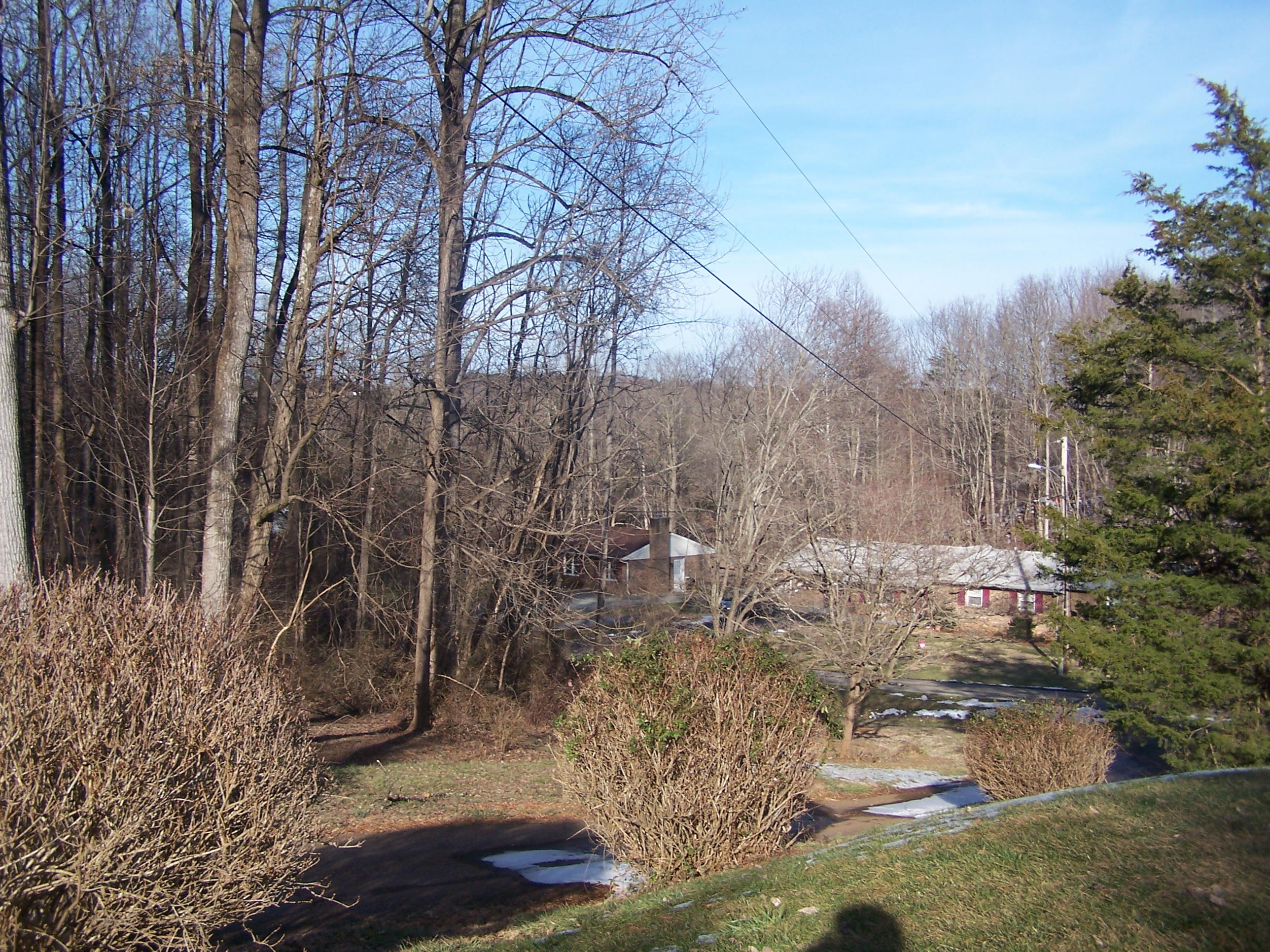 250 Muse Field Road Rocky Mount, VA 24151 - Photo 7 of 23 a view of a yard with large trees