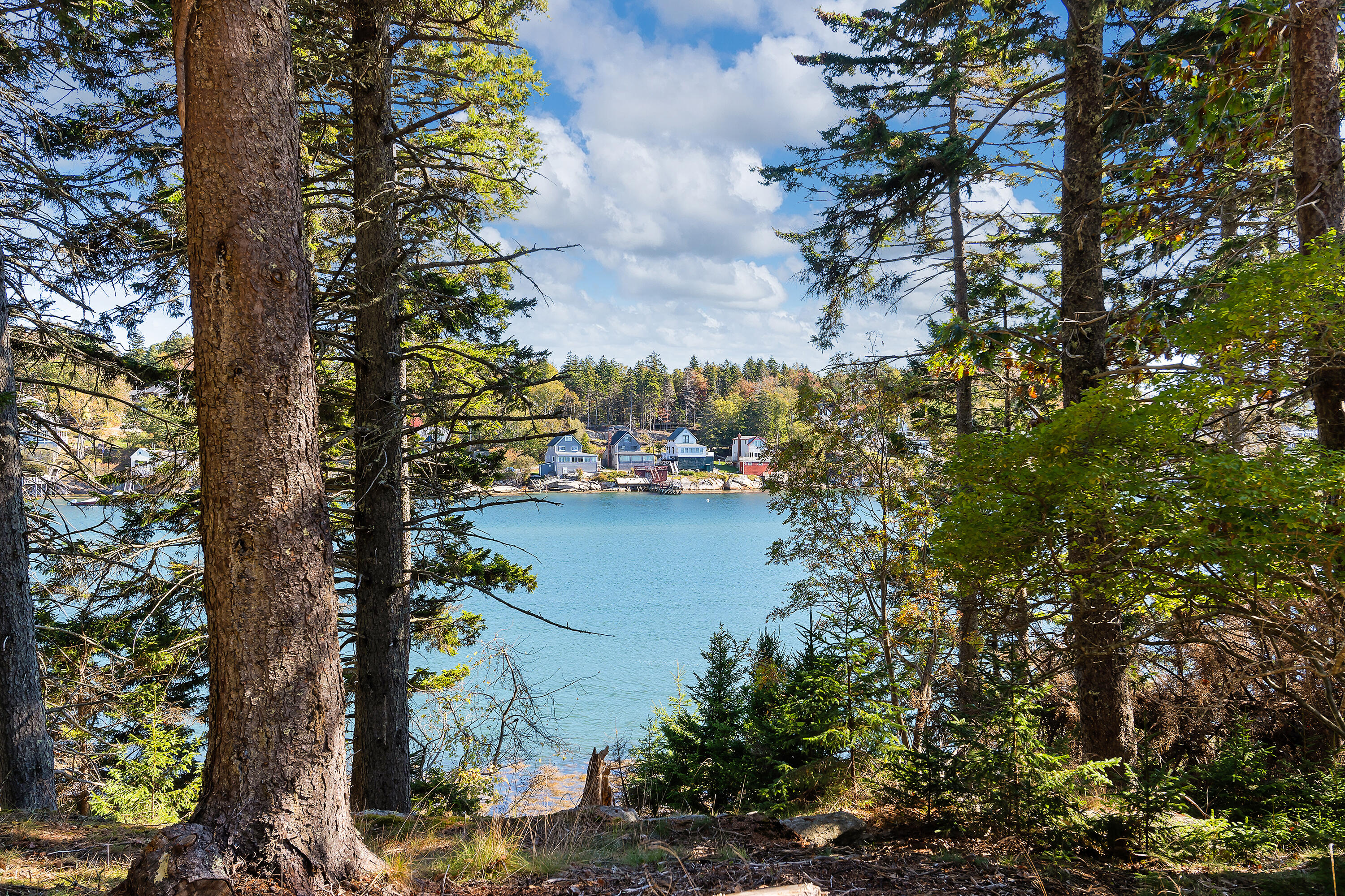 12 Long Island Georgetown, ME 04548 - Photo 117 of 122 Gilbert Head Long Is_221
