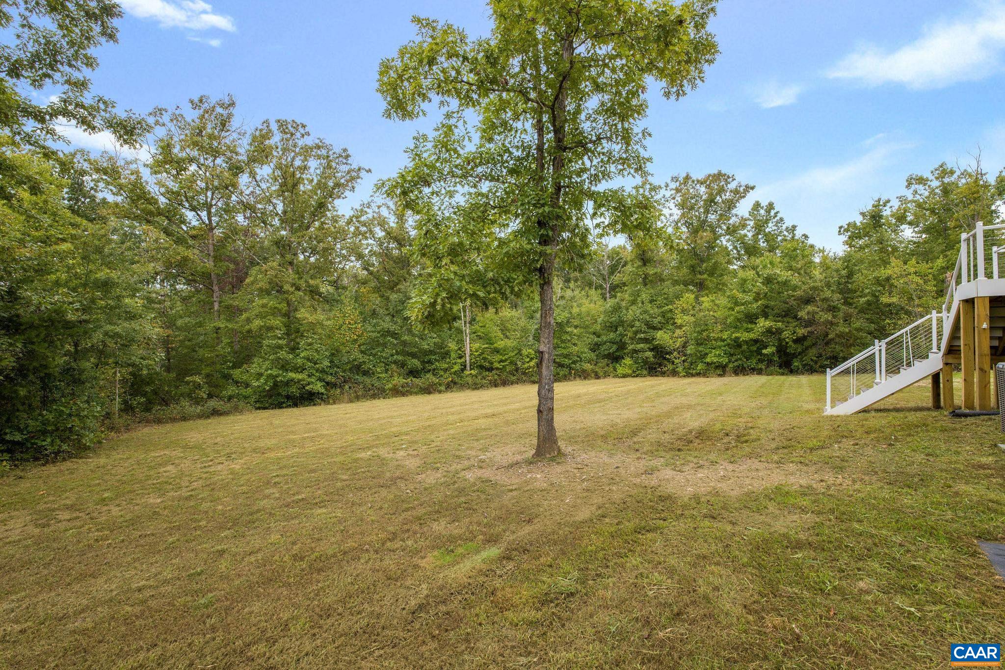 5620 Blenheim Road Charlottesville, VA 22902 - Photo 52 of 59 a view of a yard with a tree
