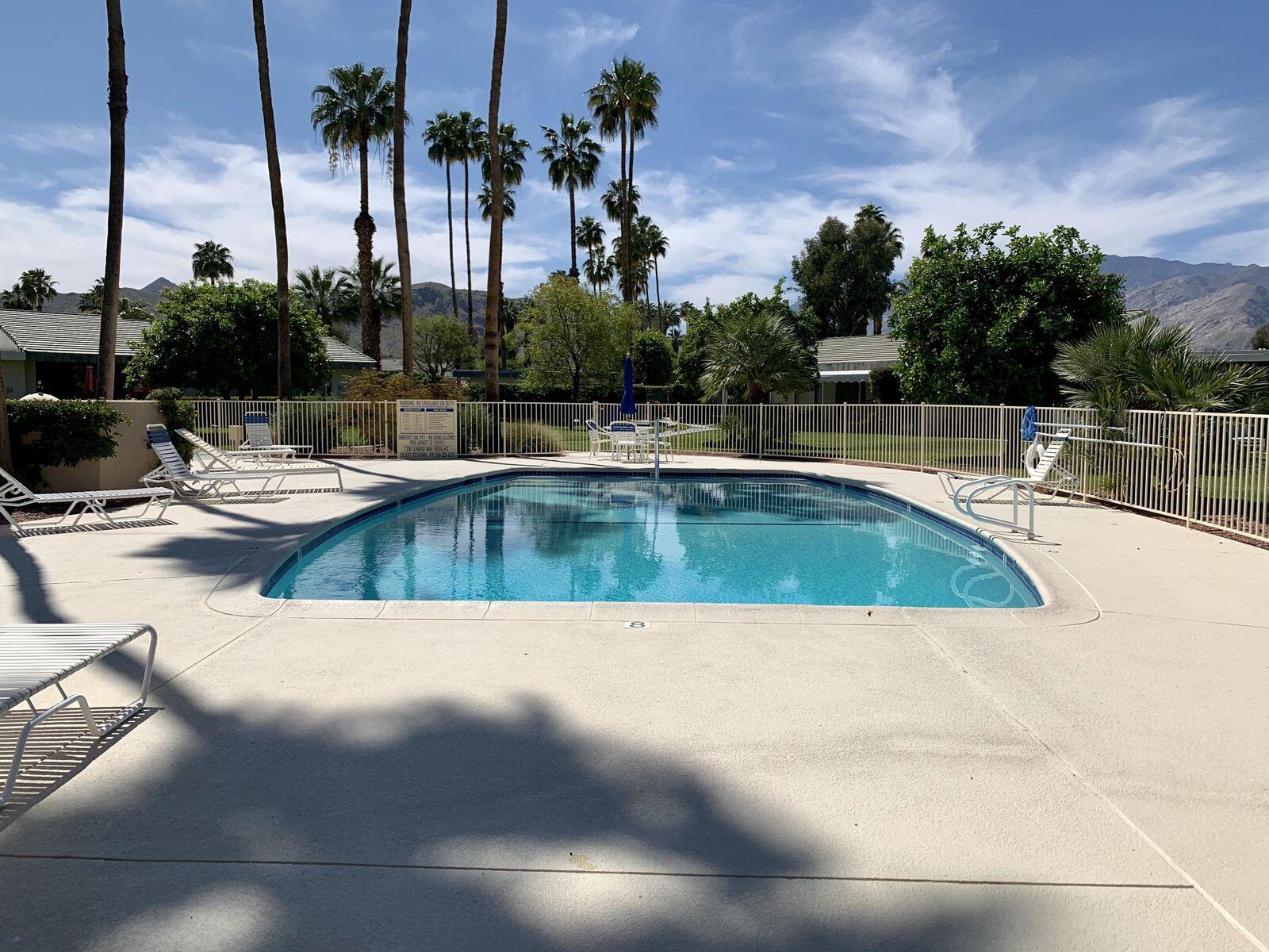 a view of a swimming pool with a lawn chairs under palm trees