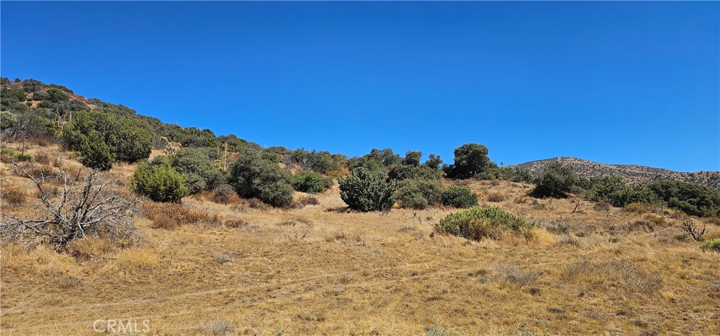 0 East Antium Road Palmdale, CA 93550 - Photo 1 of 1 Gallery Image 1