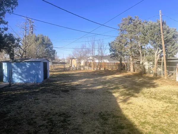 a view of a yard with large trees