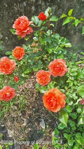 $254,900 | 1720 McDonough Avenue, Scranton, PA 18508