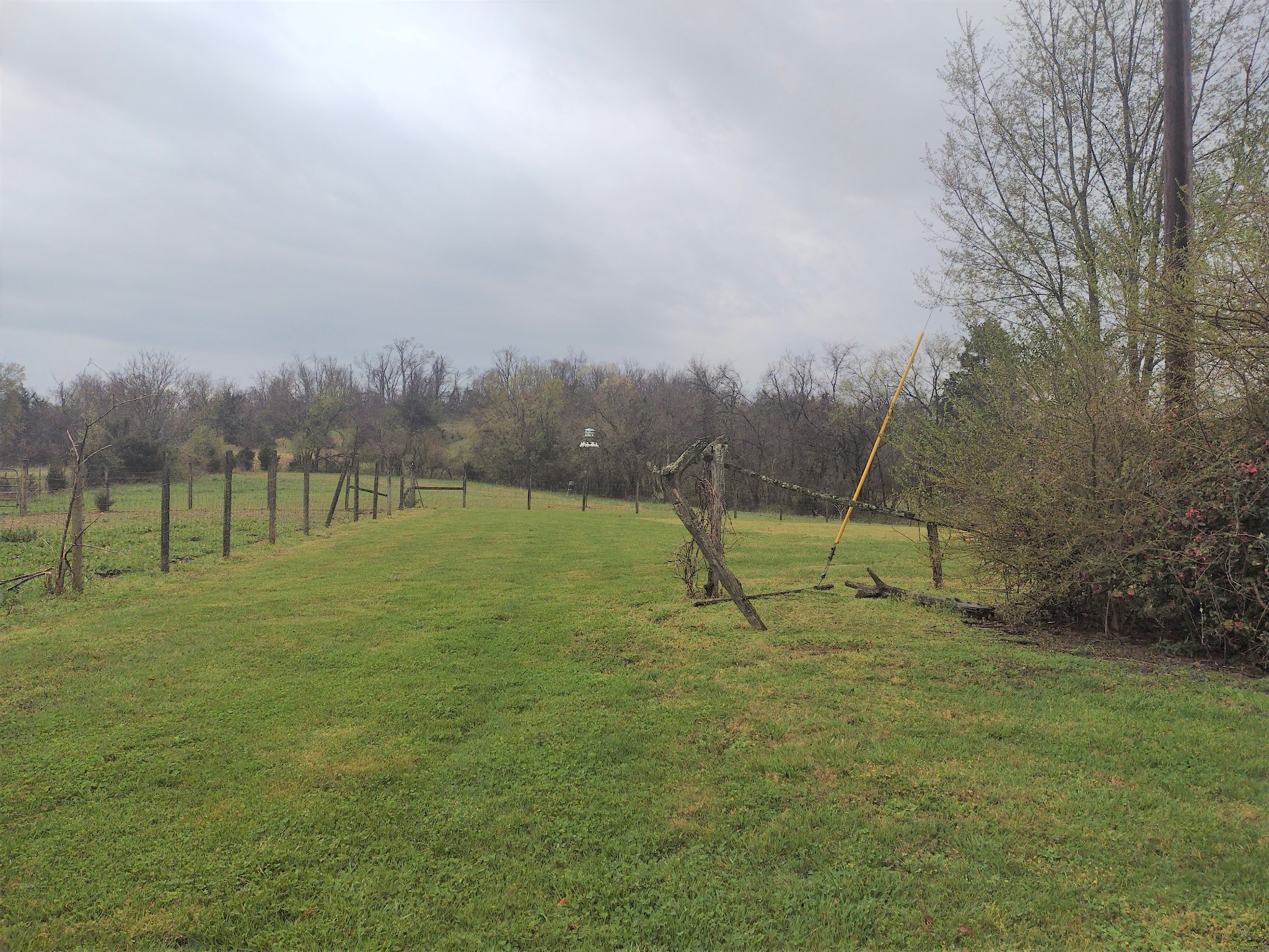 762 Happy Valley Road Bell Buckle, TN 37020 - Photo 8 of 70 Gallery Image 8