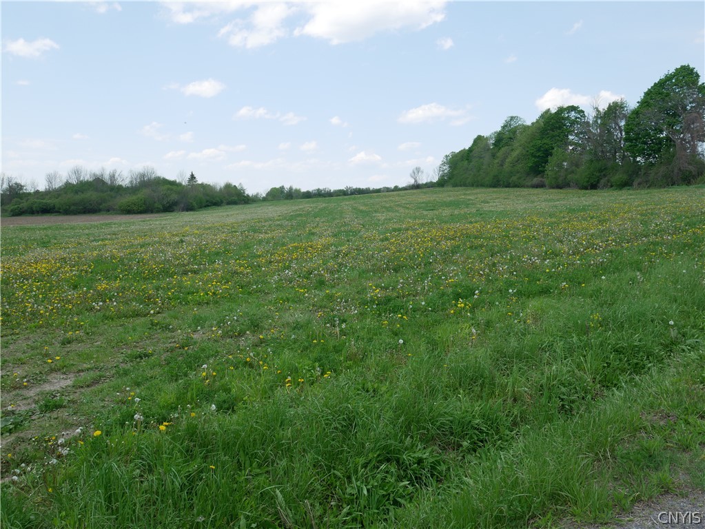 Canning Factory Road Waterville, NY 13480 - Photo 6 of 17