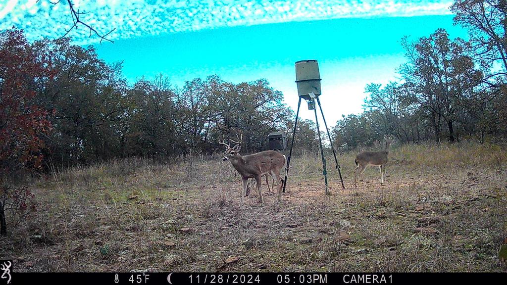 Tbd Bloodworth Road Bowie, TX 76230 - Photo 11 of 25