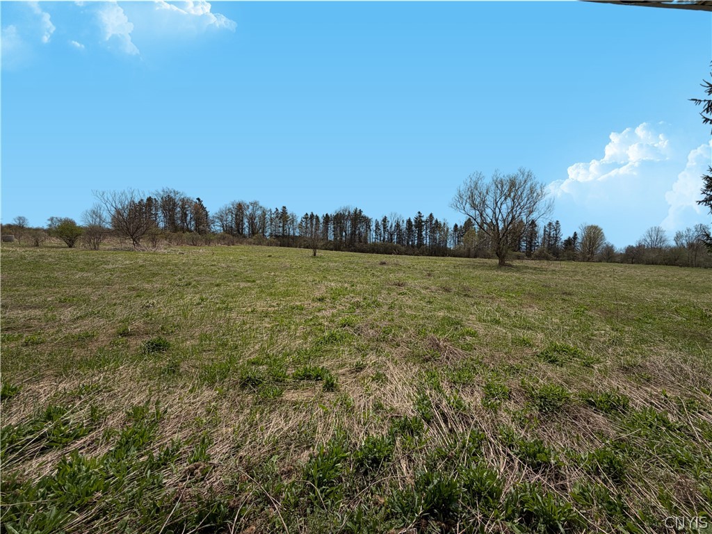 696 Russia Road Poland, NY 13431 - Photo 10 of 14