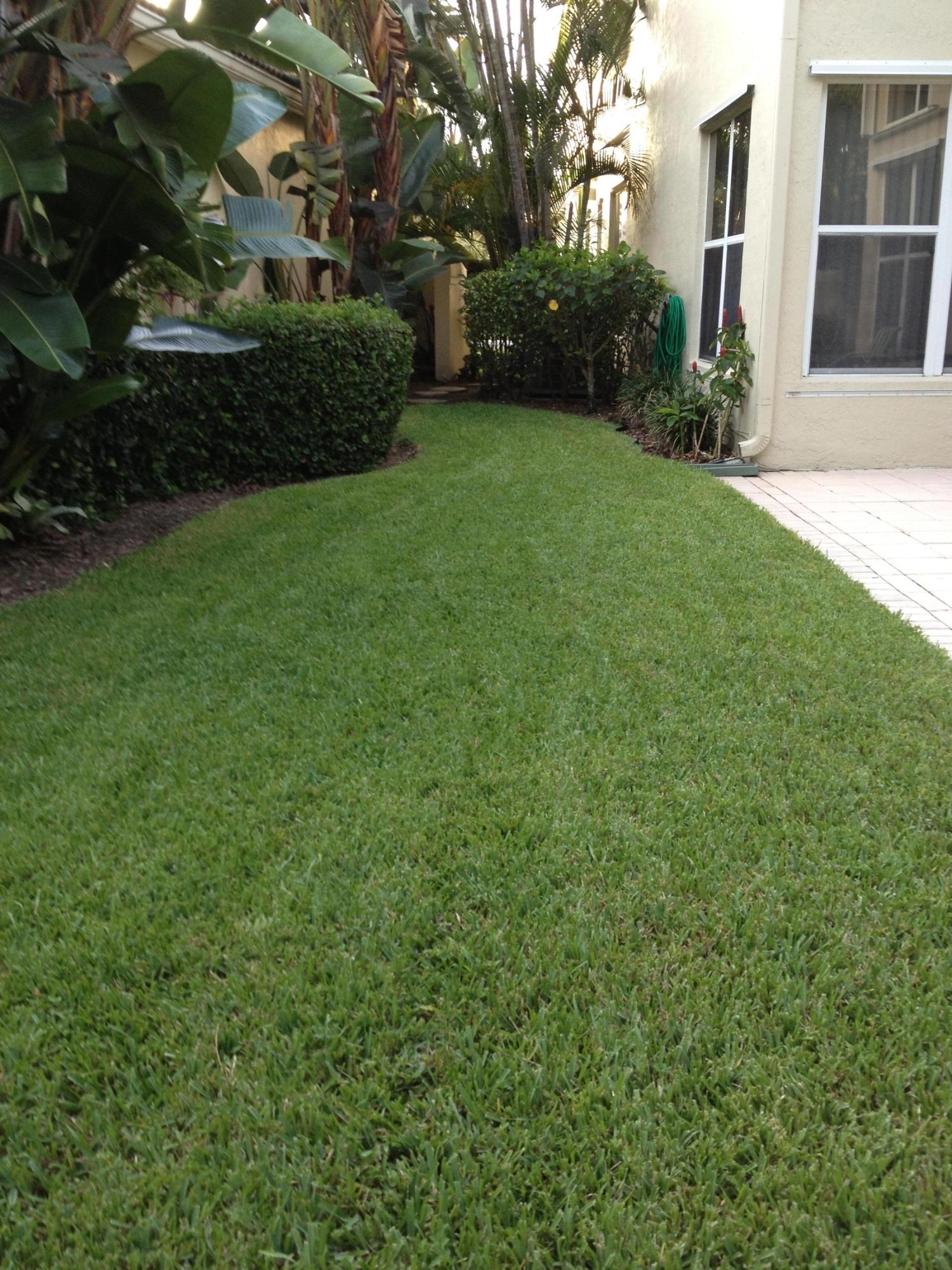 3370 Northwest 53rd Circle Boca Raton, FL 33496 - Photo 26 of 57 Yard - 3