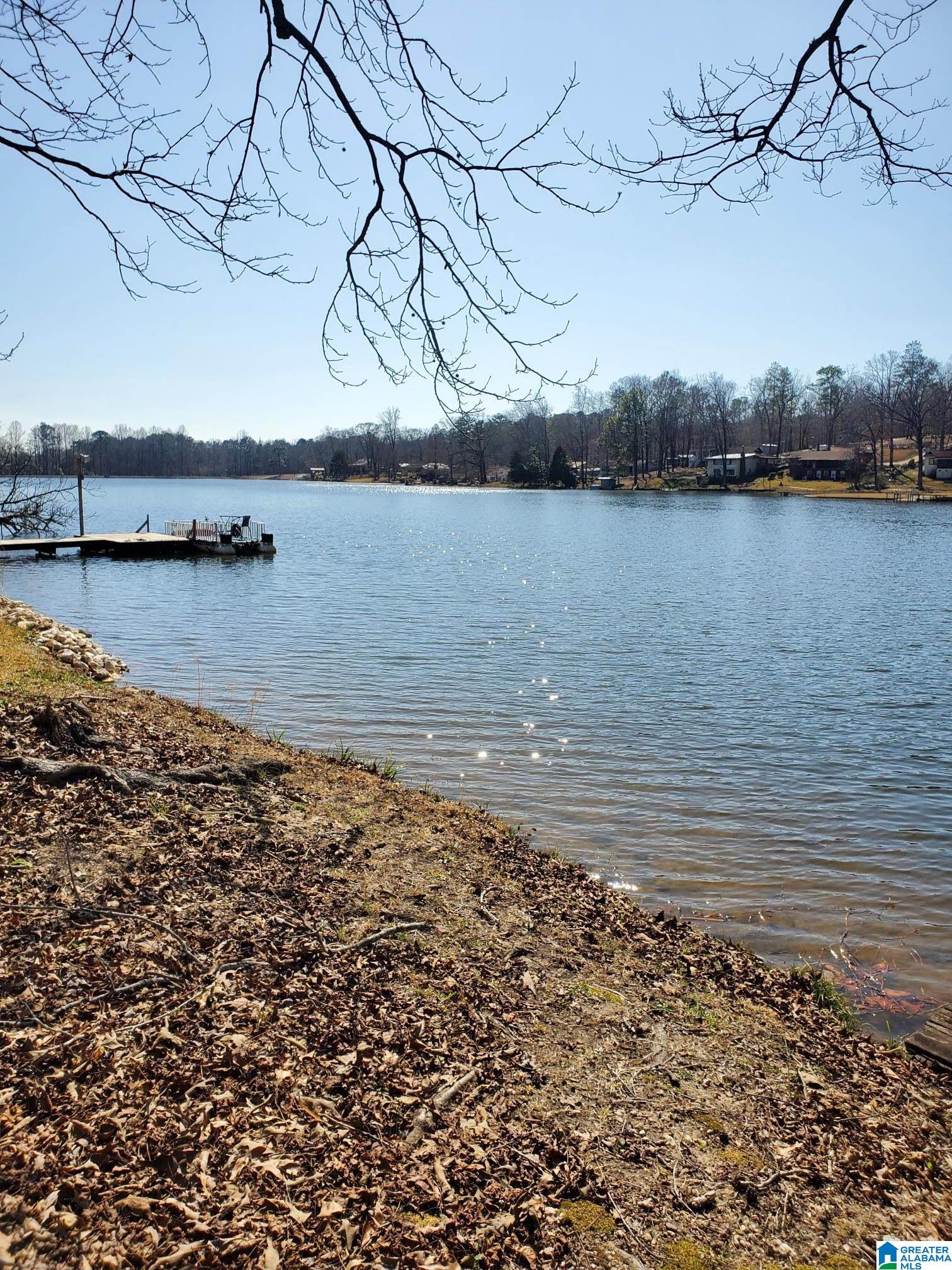 1221 Lake Tate Road Sylacauga, AL 35151 - Photo 2 of 4