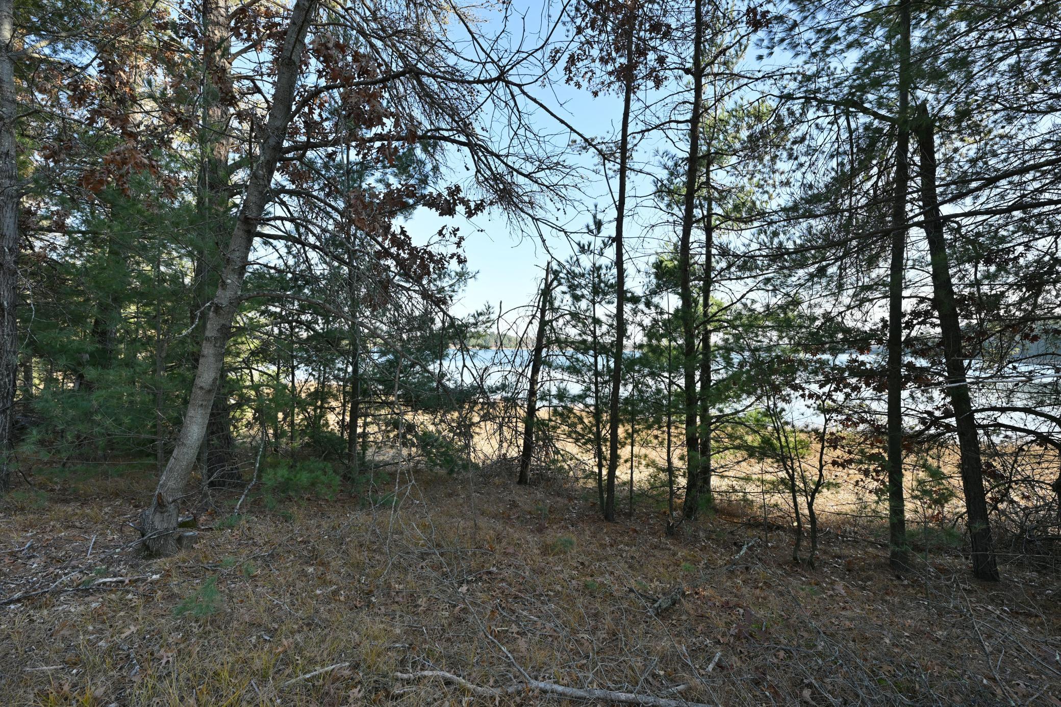Lot 3 North Bass Lake Road Webster, WI 54893 - Photo 8 of 15