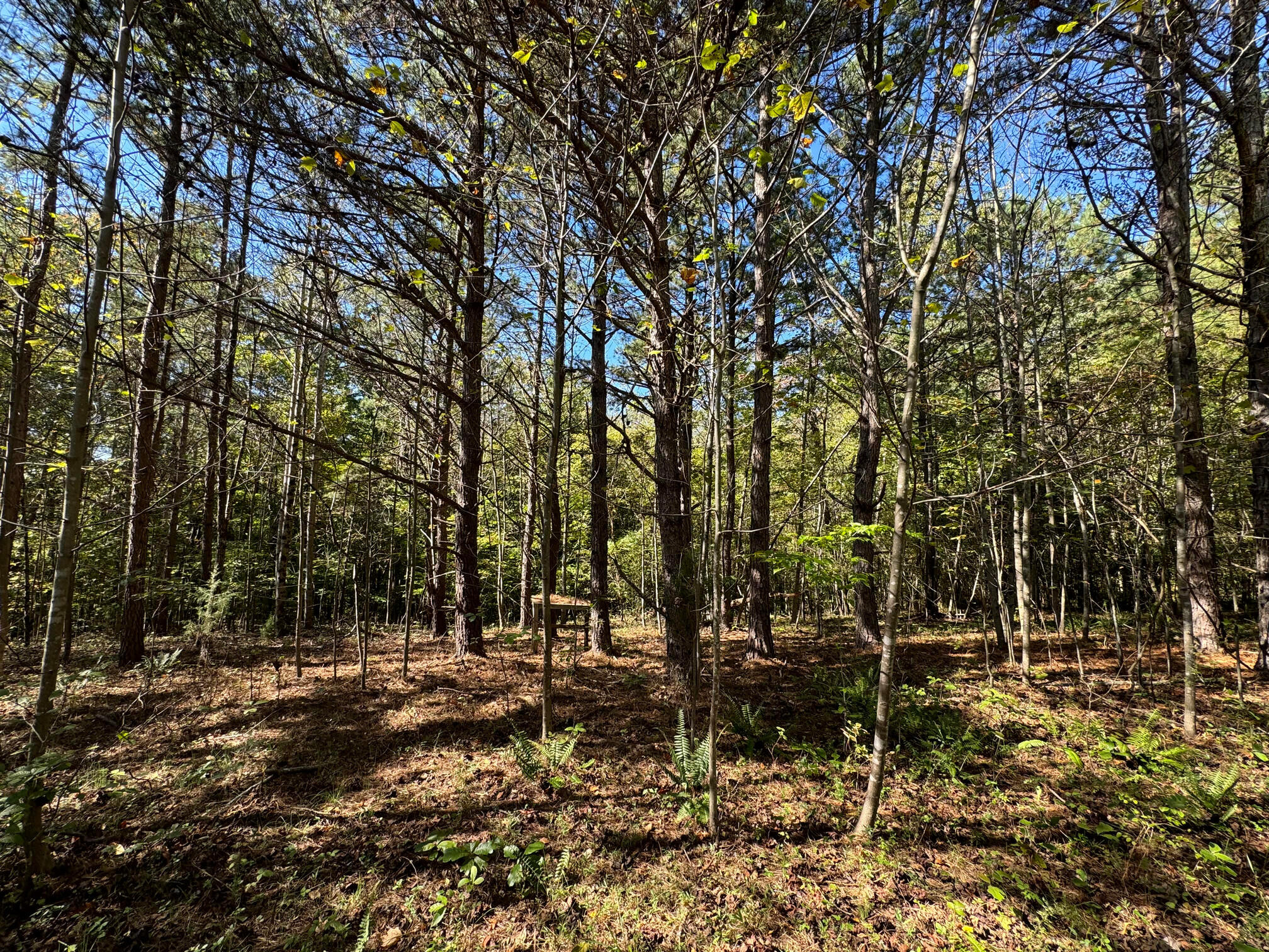 Lot 2 Narrows Road Boones Mill, VA 24065 - Photo 3 of 5 IMG_1607