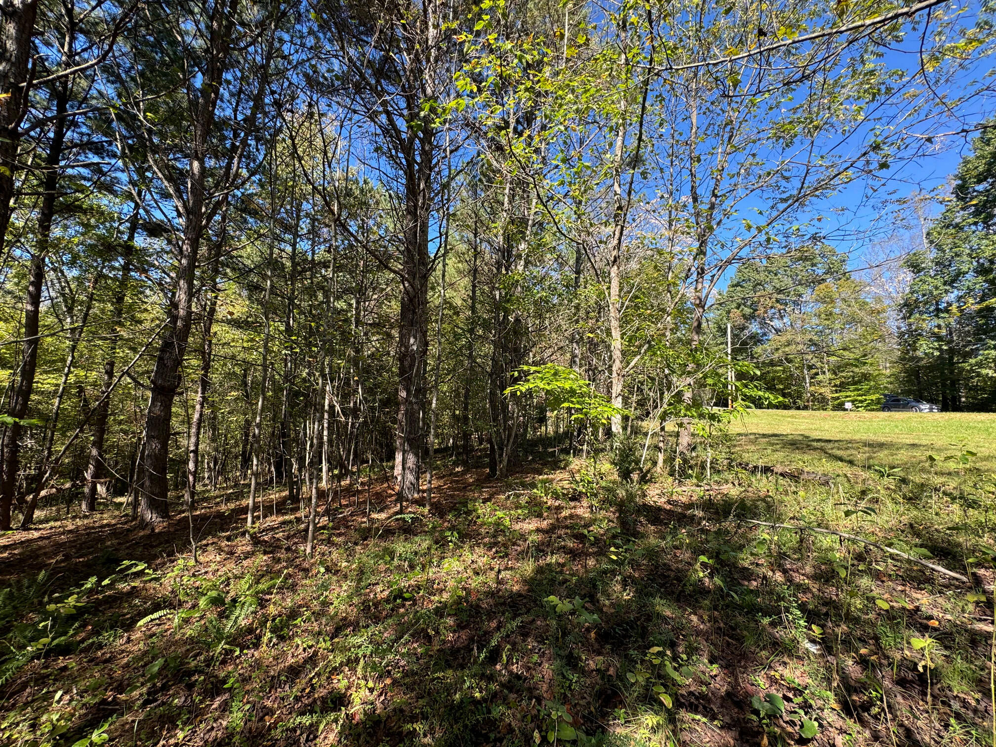 Lot 2 Narrows Road Boones Mill, VA 24065 - Photo 4 of 5 IMG_1608