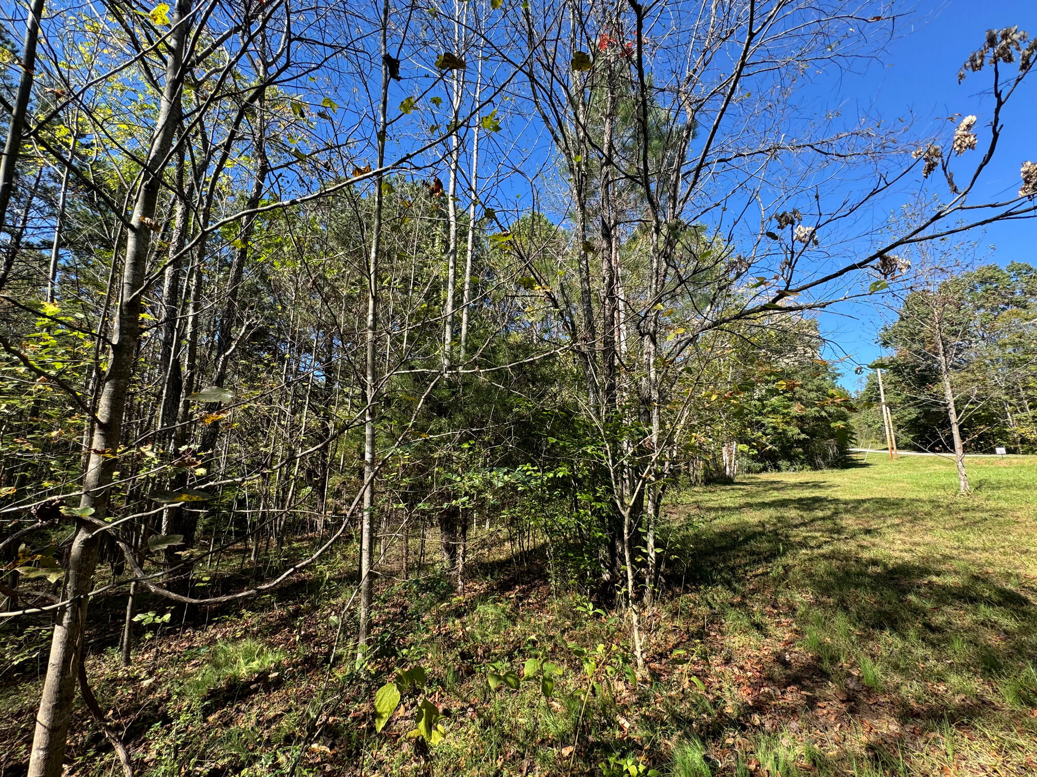 Lot 2 Narrows Road Boones Mill, VA 24065 - Photo 5 of 5 IMG_1606