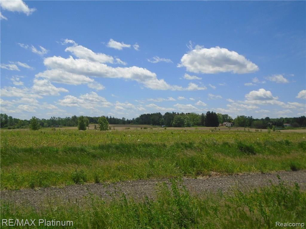 Parcel G Hacker Road Howell, MI 48843 - Photo 11 of 14