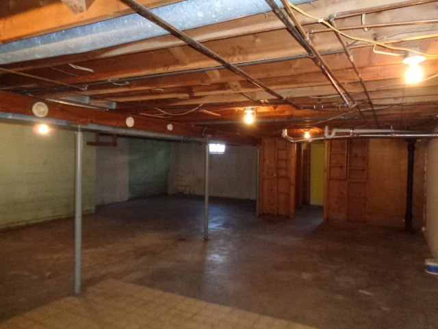 413 Phyllis Avenue Rochelle, IL 61068 - Photo 14 of 17 a view of empty room with wooden walls