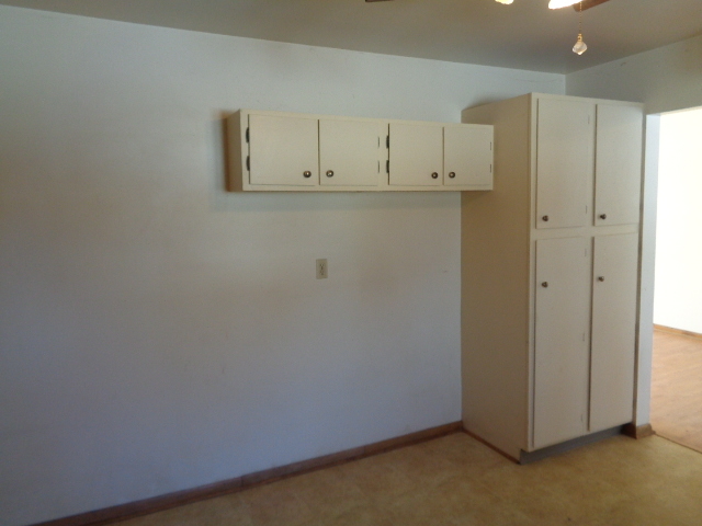 413 Phyllis Avenue Rochelle, IL 61068 - Photo 6 of 17 a view of cabinets
