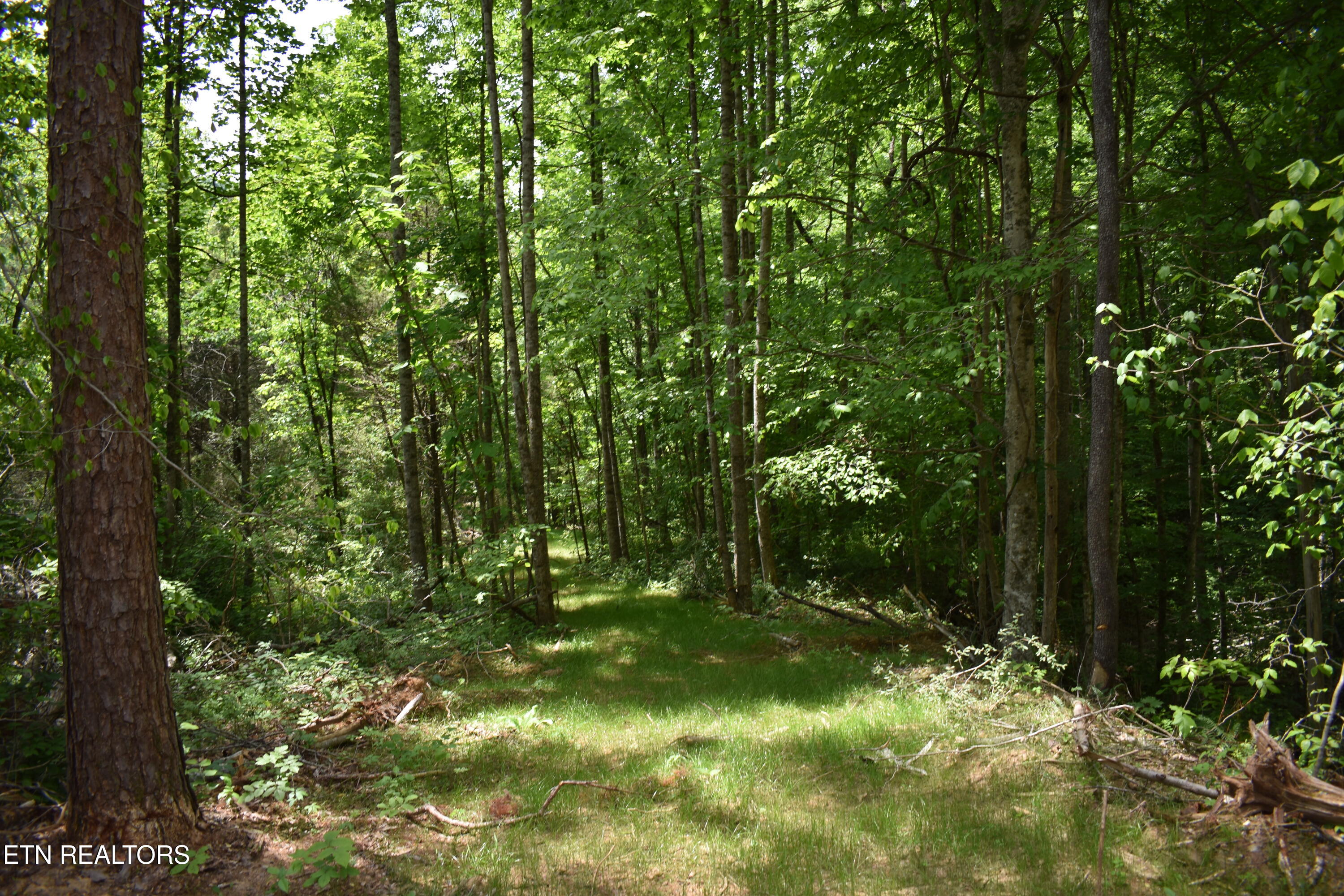 Shady Valley Road Rose Hill, VA 24281 - Photo 25 of 28 DSC_0029